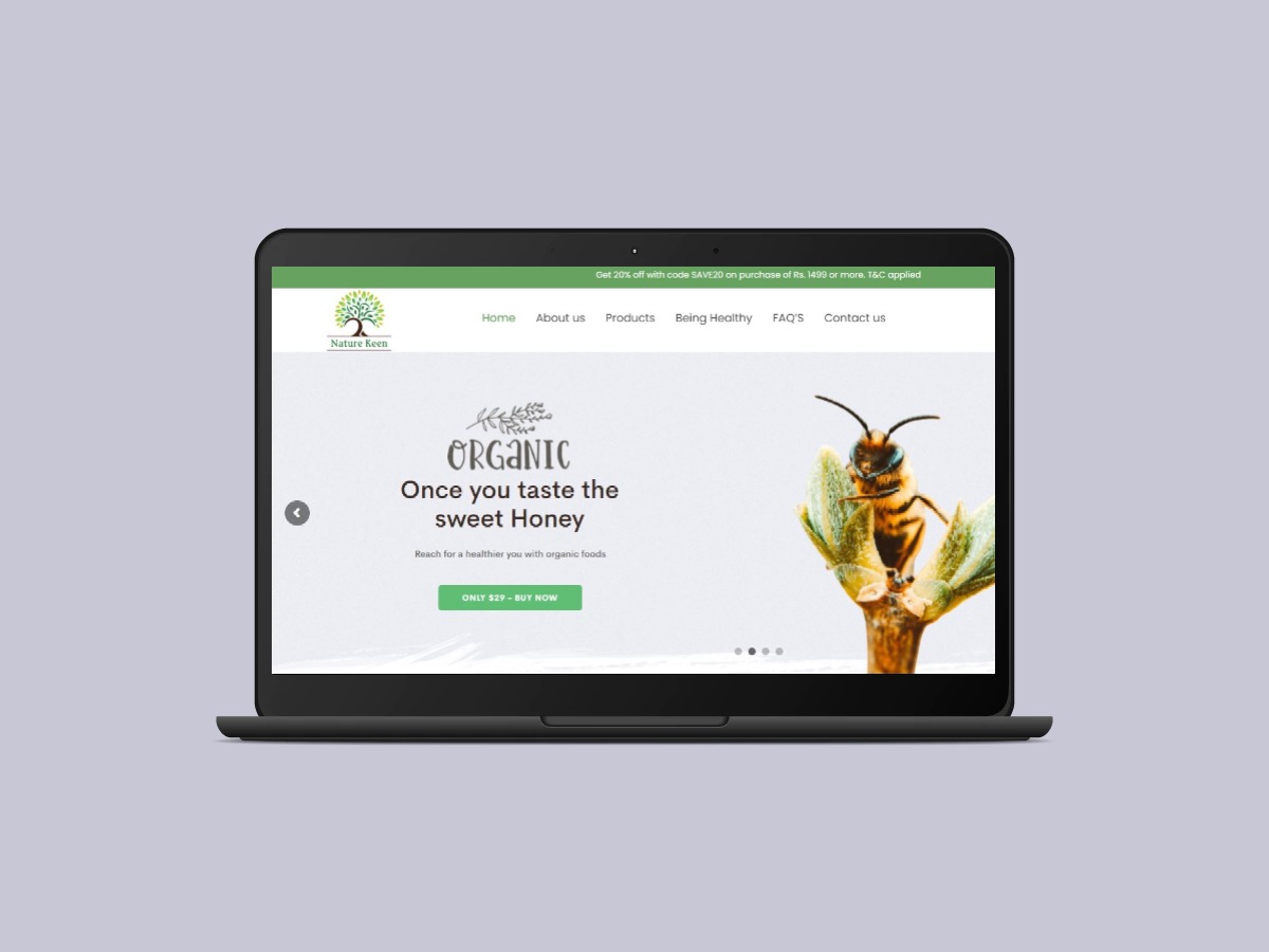 Website Development Company 